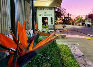 El Municipio lanzó una encuesta virtual para elegir nuevas propuestas educativas