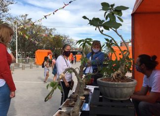 Recibimos la primavera junto a la feria de la producción
