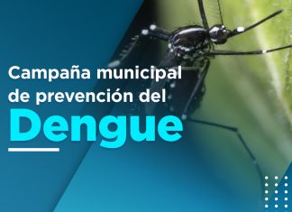 Inicia la campaña de prevención del Dengue, Zika y Chikungunya