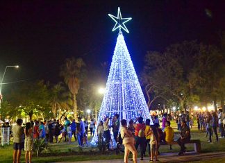 Se encendieron los Árboles de Navidad de San Salvador