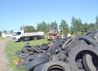 La Municipalidad trasladará Neumáticos de la Planta de RSU para su Disposición final