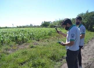 Inspección General realiza control de pulverizaciones