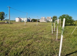 Deportes: se confirmó el regreso de las Escuelitas Deportivas