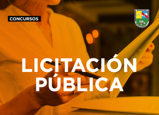 Llamado a Licitación Pública N°10/21