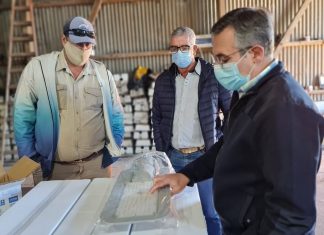 Se reemplazarán luminarias en distintas zonas de la ciudad