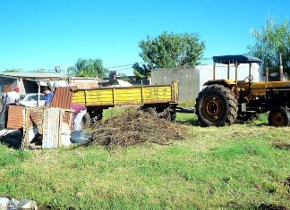 La Municipalidad realiza la limpieza de terrenos baldíos en el marco de la Ordenanza N°1507/20