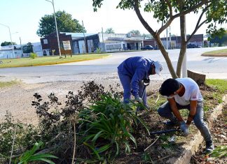 Una ciudad más linda: iniciaron los trabajos para mejorar Avenida Entre Ríos