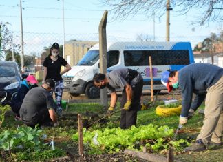 Trabajo e inclusión: se entregaron herramientas a APADISS