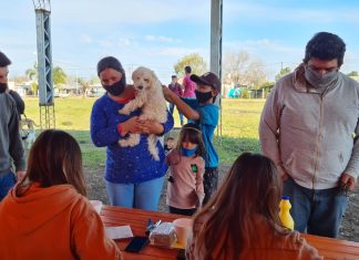 Inició la campaña de vacunación antirrábica y desparasitación