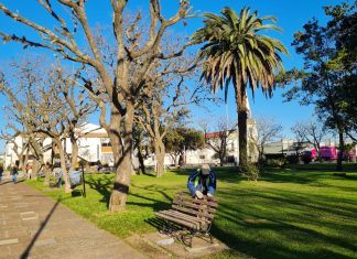 Se realizan trabajos de mantenimiento en nuestra Plaza principal