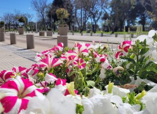 Recibimos la primavera con Cultura en la Plaza y una Feria de Flores