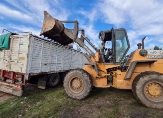 La Municipalidad traslada Neumáticos de la Planta de RSU para su Disposición final