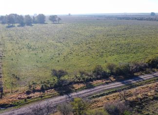 El Gobierno Provincial firmó la adjudicación de la obra de Ampliación y Optimización de desagües cloacales