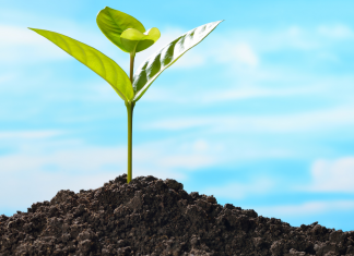 Dirección General de AGRICULTURA y SENASA dictarán un Taller de Buenas Prácticas Agrícolas