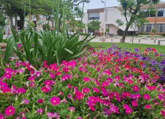 Día del Empleado Municipal: el próximo lunes habrá asueto para el personal