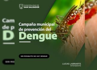 Hoy inicia la campaña de Prevención del Dengue, Zika y Chikungunya