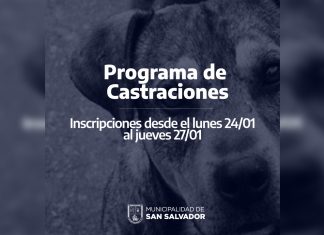 La Municipalidad retoma el Programa de Castraciones 2022