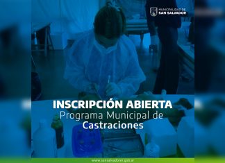 La Municipalidad realiza castraciones semanalmente