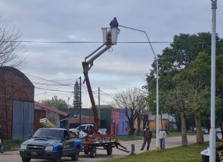 Comenzó la colocación de luminarias LED en Avenida Malarín