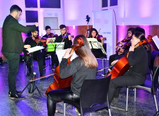 La Camerata de Cuerdas se presenta en Sala San Martín a beneficio de la Biblioteca Popular