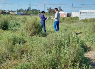 Inspección General constata terrenos baldíos