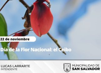 22 de Noviembre Día de la Flor Nacional