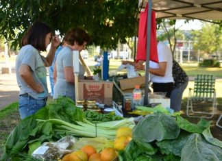 Este viernes(03/03), se realizará la feria de Hojas Verdes