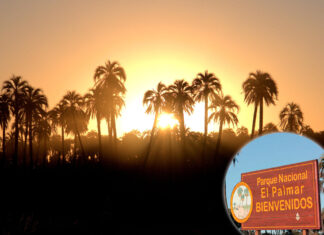 Entrada gratuita al Parque Nacional El Palmar